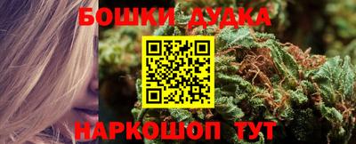 a pvp Обь