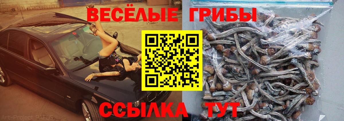 Псилоцибиновые грибы ЛСД Санкт-Петербург