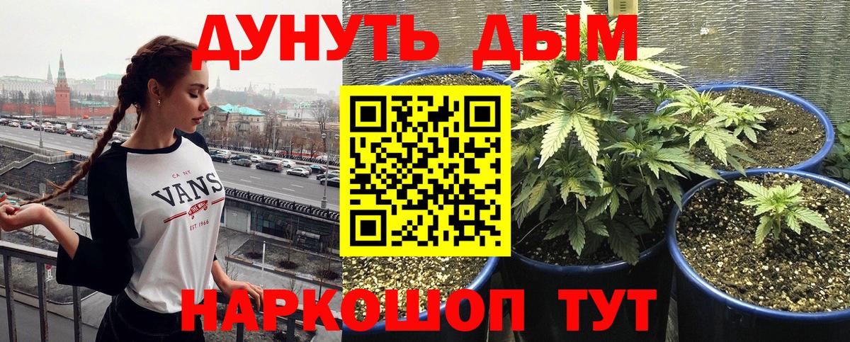 Марихуана гибрид  Бошки Шишки White Widow  Санкт-Петербург  Вход с VPN  Бошки Шишки SATIVA & INDICA 